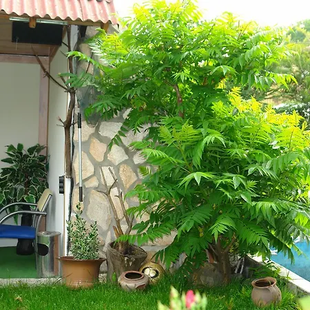 Mitsina Kushta بيت ضيافة Eleshnitsa